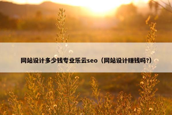 网站设计多少钱专业乐云seo（网站设计赚钱吗?）
