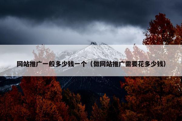 网站推广一般多少钱一个（做网站推广需要花多少钱）