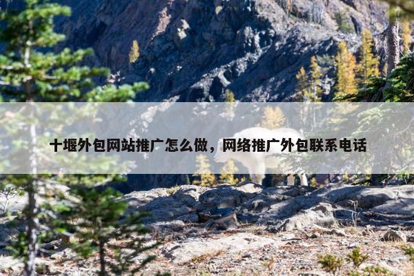 十堰外包网站推广怎么做，网络推广外包联系电话