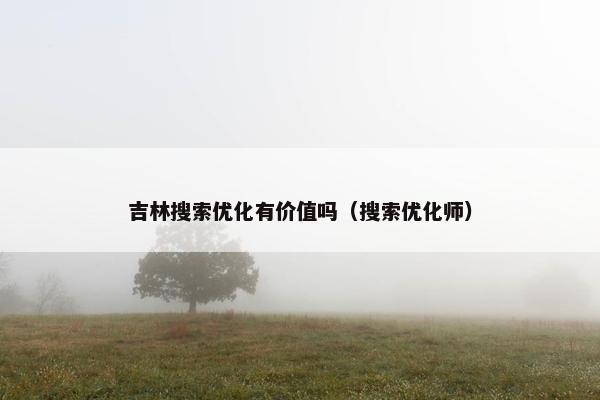 吉林搜索优化有价值吗（搜索优化师）