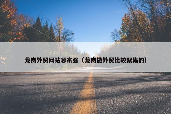 龙岗外贸网站哪家强（龙岗做外贸比较聚集的）