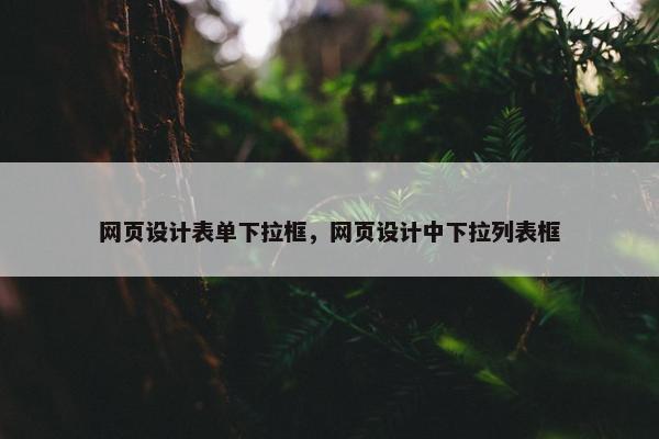 网页设计表单下拉框，网页设计中下拉列表框