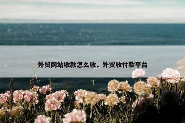 外贸网站收款怎么收，外贸收付款平台