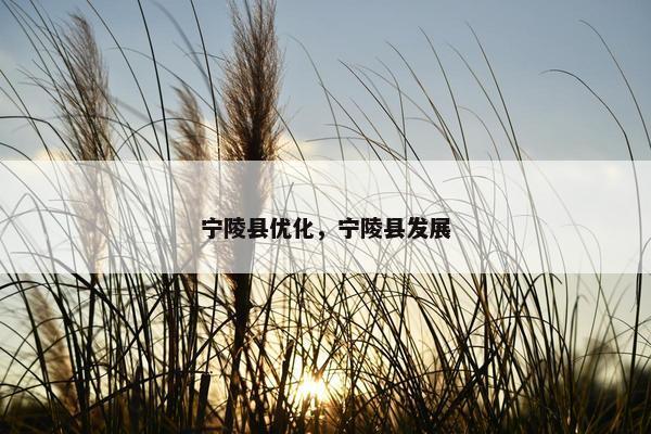 宁陵县优化，宁陵县发展