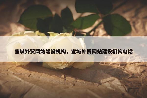宣城外贸网站建设机构，宣城外贸网站建设机构电话
