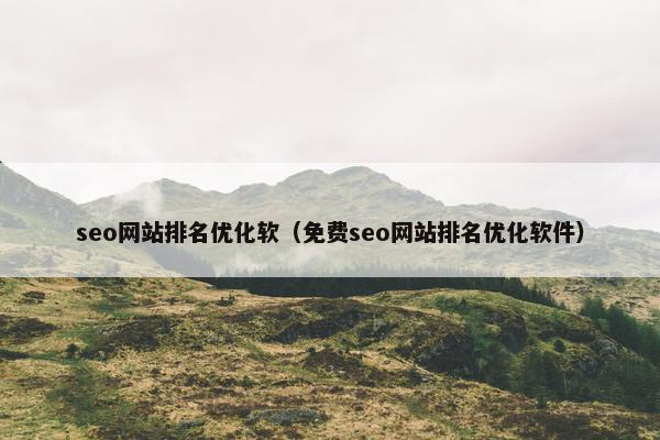 seo网站排名优化软（免费seo网站排名优化软件）