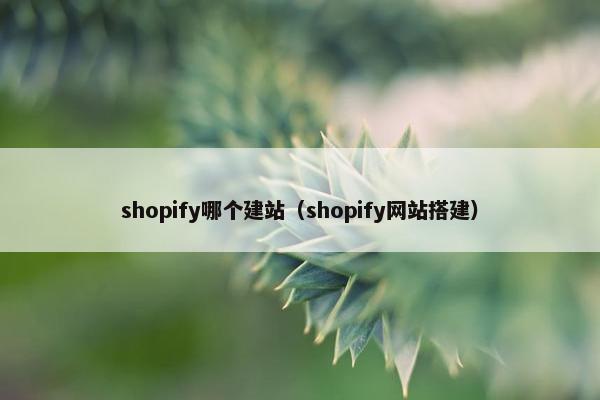 shopify哪个建站（shopify网站搭建）