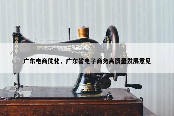 广东电商优化，广东省电子商务高质量发展意见