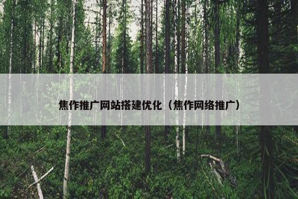 焦作推广网站搭建优化（焦作网络推广）