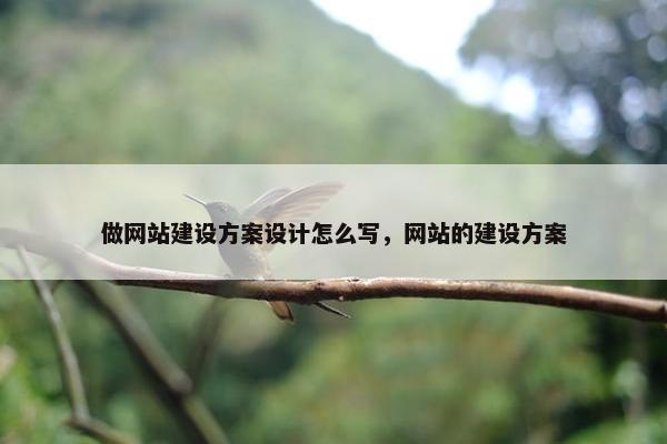 做网站建设方案设计怎么写，网站的建设方案