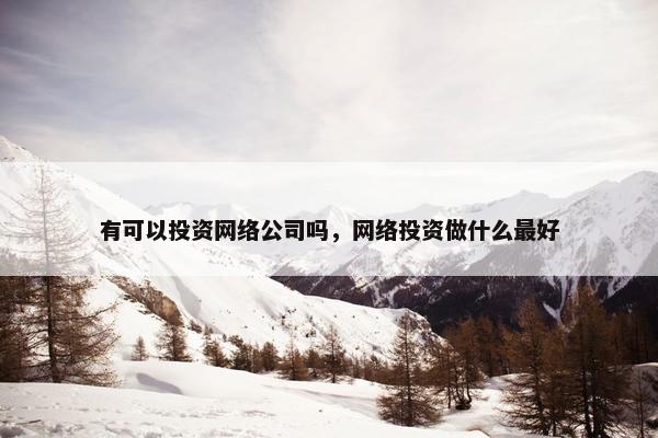 有可以投资网络公司吗，网络投资做什么最好