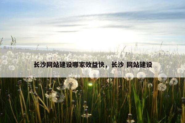 长沙网站建设哪家效益快，长沙 网站建设