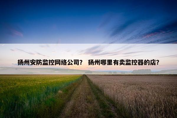 扬州安防监控网络公司？ 扬州哪里有卖监控器的店？