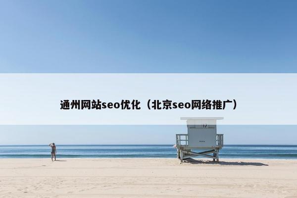 通州网站seo优化（北京seo网络推广）