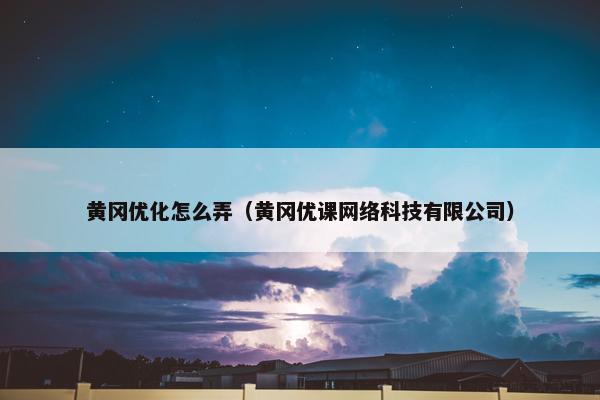 黄冈优化怎么弄（黄冈优课网络科技有限公司）