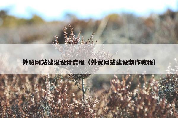 外贸网站建设设计流程（外贸网站建设制作教程）