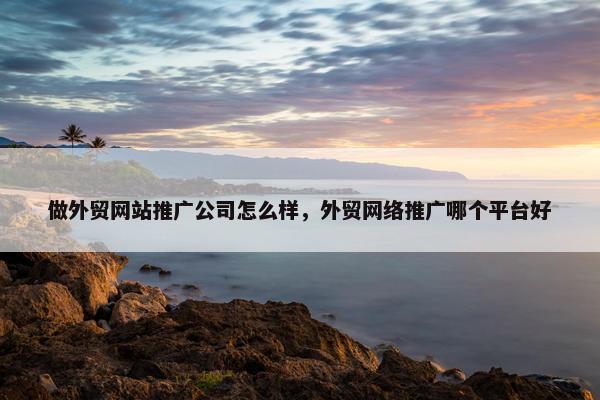 做外贸网站推广公司怎么样，外贸网络推广哪个平台好