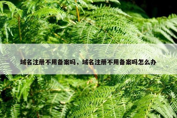域名注册不用备案吗，域名注册不用备案吗怎么办