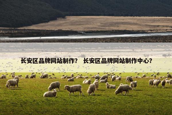长安区品牌网站制作？ 长安区品牌网站制作中心？