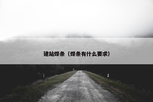 建站焊条（焊条有什么要求）