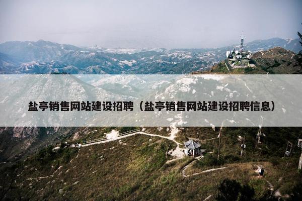 盐亭销售网站建设招聘（盐亭销售网站建设招聘信息）