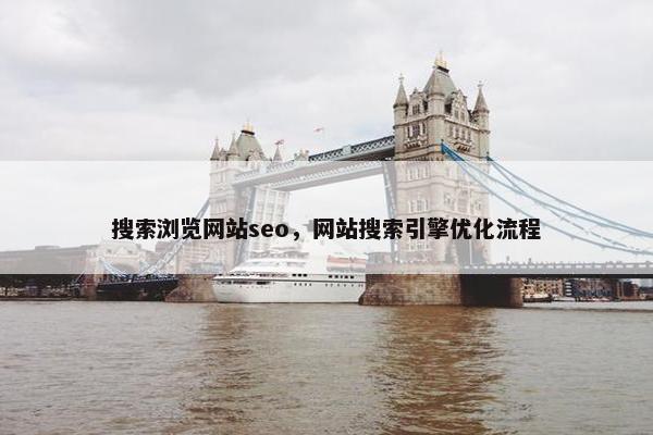 搜索浏览网站seo，网站搜索引擎优化流程