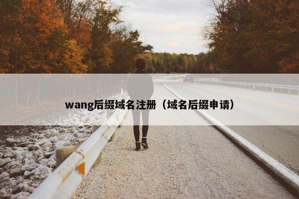 wang后缀域名注册（域名后缀申请）