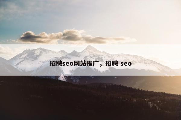 招聘seo网站推广，招聘 seo