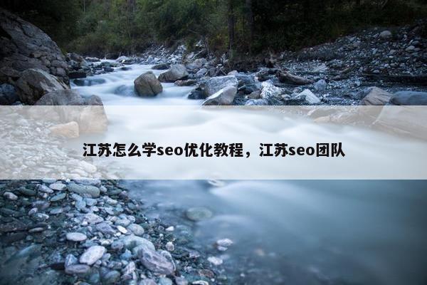江苏怎么学seo优化教程，江苏seo团队