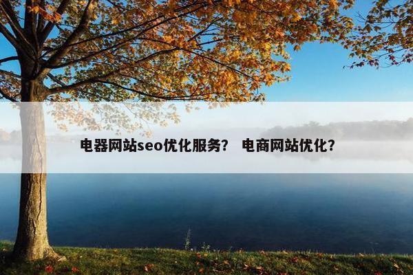 电器网站seo优化服务？ 电商网站优化？