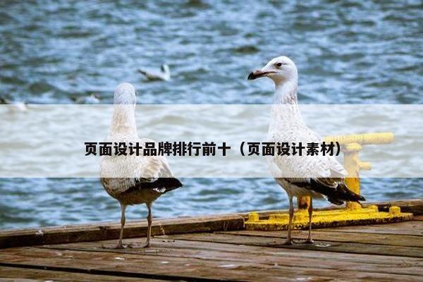 页面设计品牌排行前十（页面设计素材）