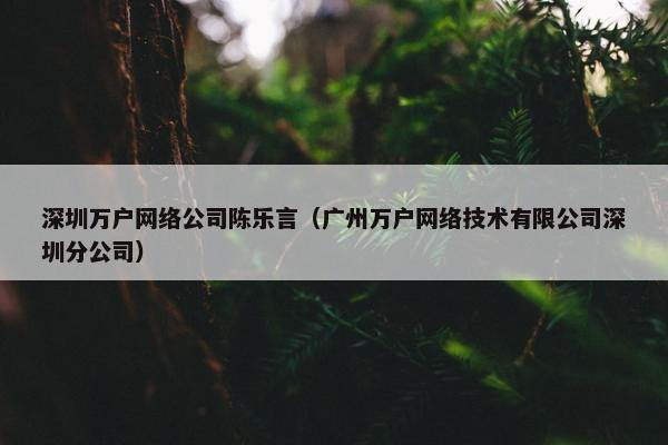 深圳万户网络公司陈乐言（广州万户网络技术有限公司深圳分公司）