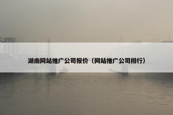 湖南网站推广公司报价（网站推广公司排行）