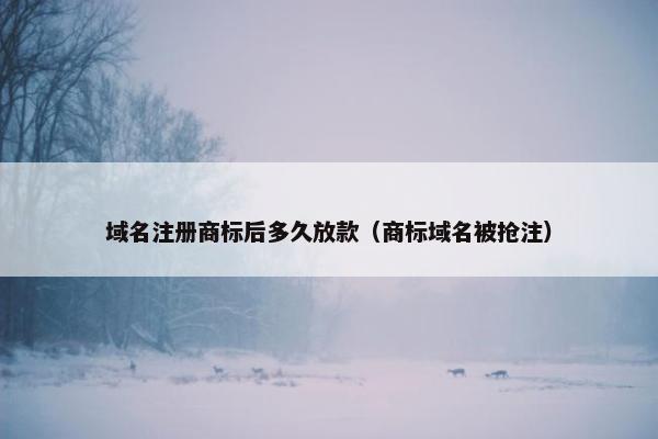 域名注册商标后多久放款（商标域名被抢注）