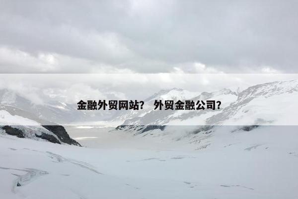 金融外贸网站？ 外贸金融公司？