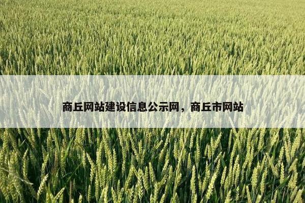 商丘网站建设信息公示网，商丘市网站