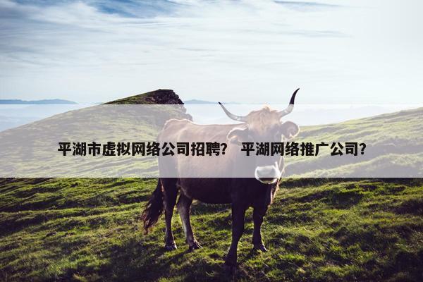 平湖市虚拟网络公司招聘？ 平湖网络推广公司？