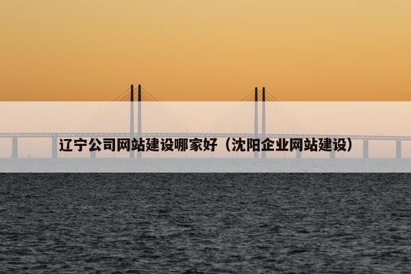 辽宁公司网站建设哪家好（沈阳企业网站建设）