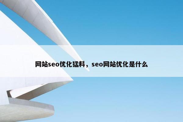 网站seo优化猛料，seo网站优化是什么