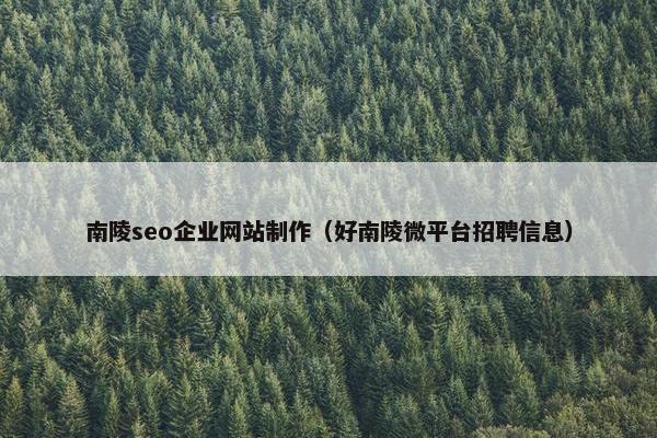 南陵seo企业网站制作（好南陵微平台招聘信息）