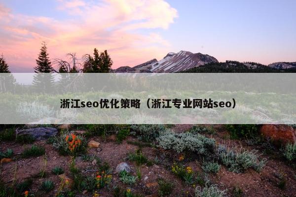 浙江seo优化策略（浙江专业网站seo）