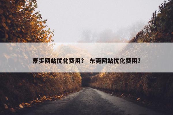寮步网站优化费用？ 东莞网站优化费用？