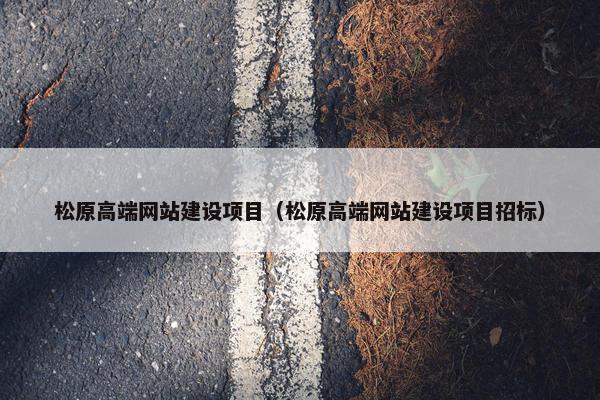 松原高端网站建设项目（松原高端网站建设项目招标）