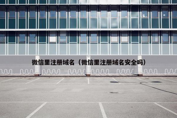 微信里注册域名（微信里注册域名安全吗）
