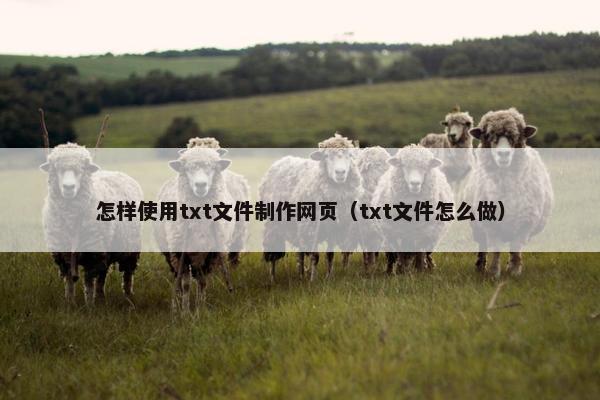 怎样使用txt文件制作网页（txt文件怎么做）