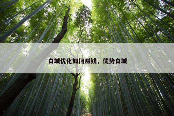 白城优化如何赚钱，优势白城