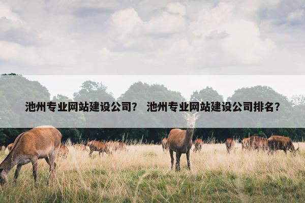池州专业网站建设公司？ 池州专业网站建设公司排名？