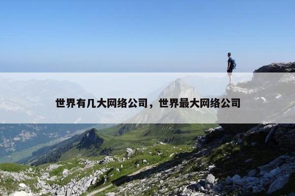 世界有几大网络公司，世界最大网络公司