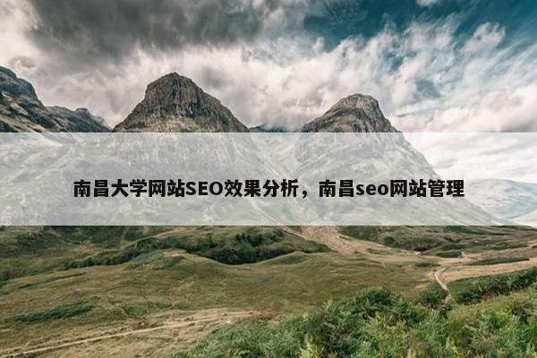 南昌大学网站SEO效果分析，南昌seo网站管理