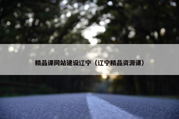 精品课网站建设辽宁（辽宁精品资源课）